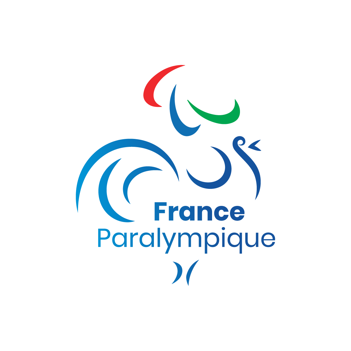 Comité Paralímpico y Deportivo Francés (CPSF)